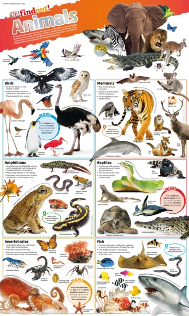 Image for DKfindout! Animals Poster