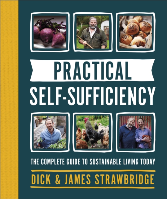 Image for Practical Self-sufficiency : The complete guide to sustainable living today