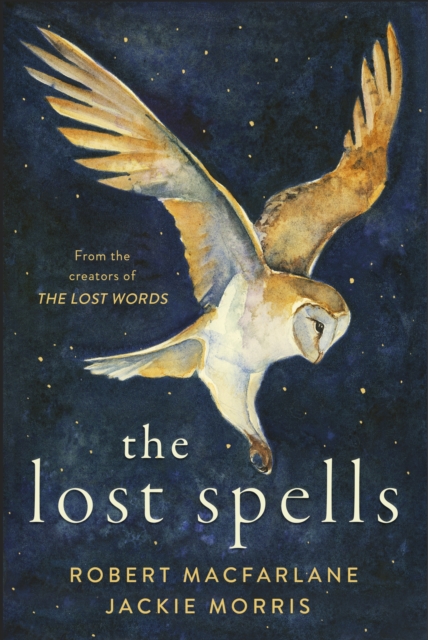 Cover for: The Lost Spells