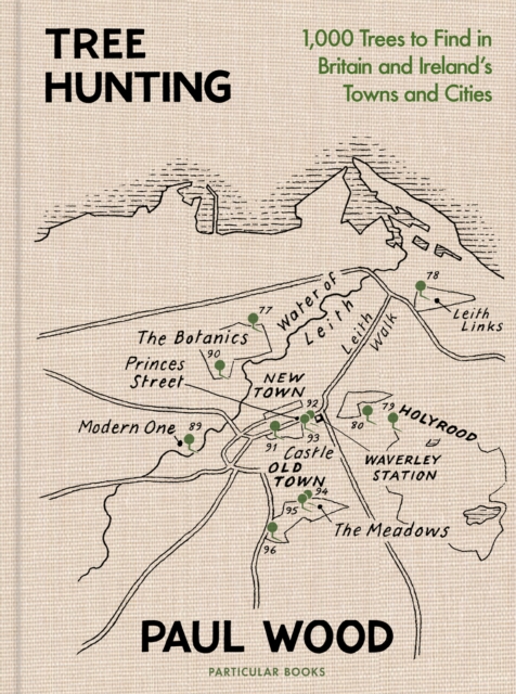 Image for Tree Hunting : 1,000 Trees to Find in Britain and Ireland’s Towns and Cities