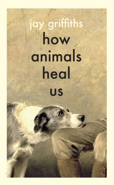 Image for How Animals Heal Us