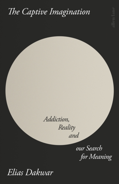 Image for The Captive Imagination : Addiction, Reality and our Search for Meaning