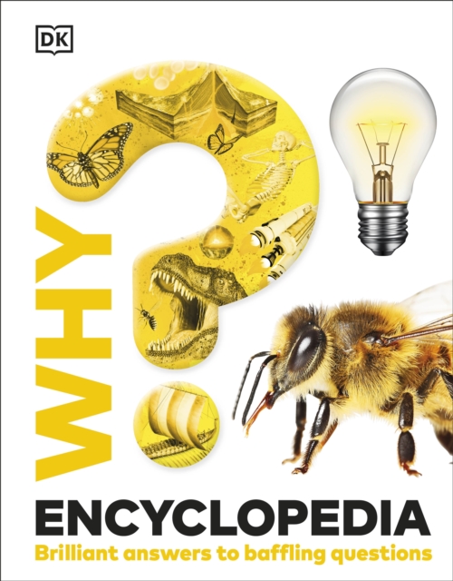 Image for Why? Encyclopedia : Brilliant Answers to Baffling Questions