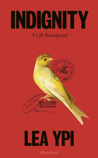 Image for Indignity : A Life Reimagined