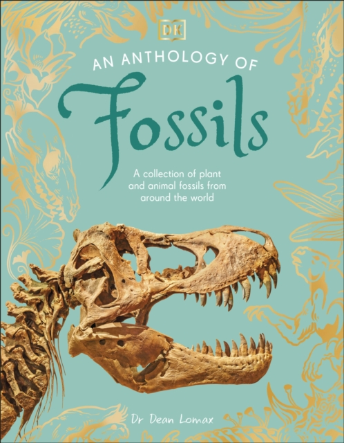 Image for An Anthology of Fossils : A Collection of Plant and Animal Fossils From Around the World