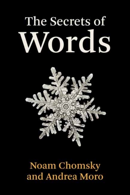 Cover for: The Secrets of Words