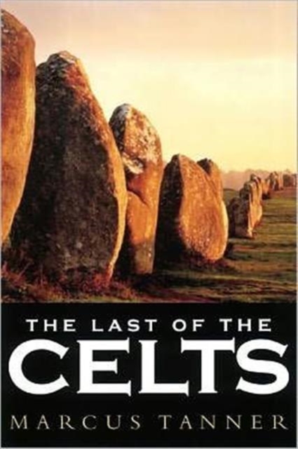 Image for The Last of the Celts