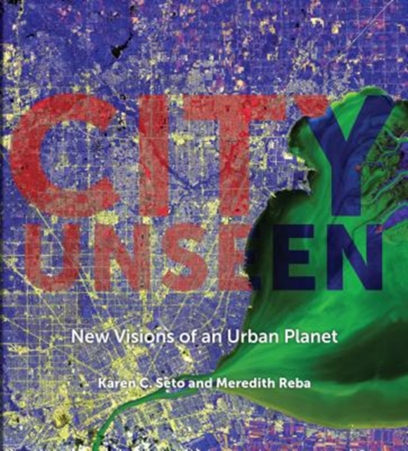 Cover for: City Unseen : New Visions of an Urban Planet