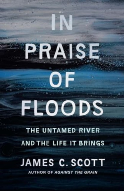 Image for In Praise of Floods : The Untamed River and the Life It Brings