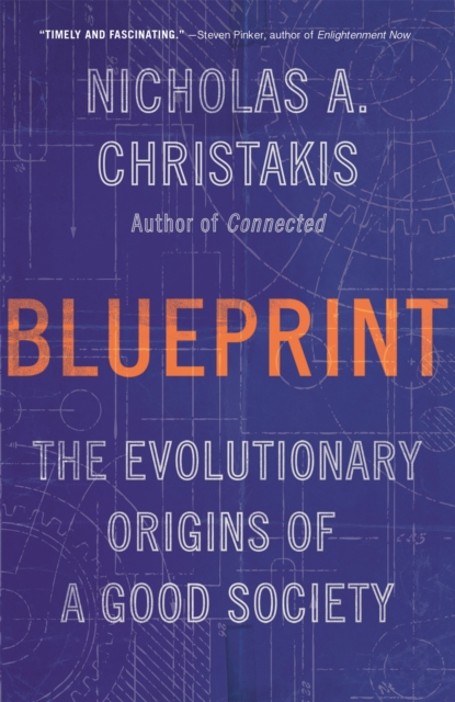 Image for Blueprint : The Evolutionary Origins of a Good Society