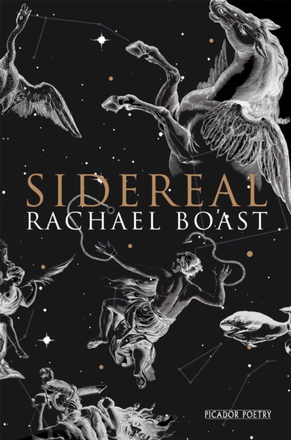 Image for Sidereal