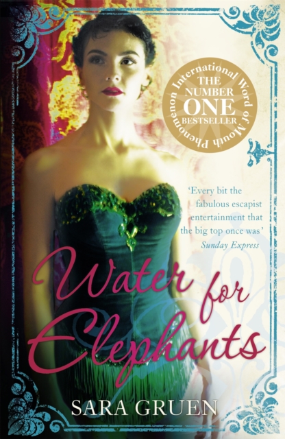 Image for Water for Elephants : a novel for everyone who dreamed of running away to the circus
