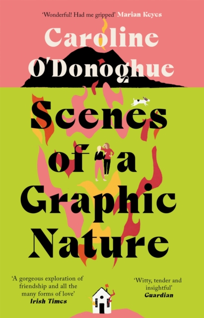 Cover for: Scenes of a Graphic Nature