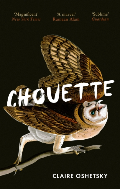 Image for Chouette