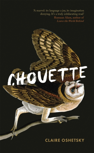 Image for Chouette