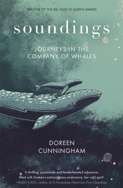 Cover for: Soundings : Journeys in the Company of Whales