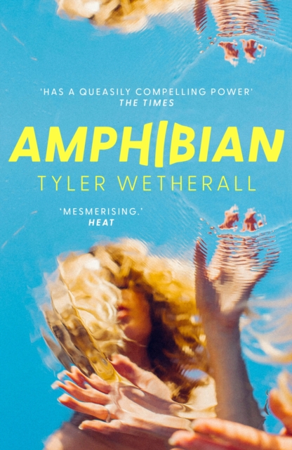 Image for Amphibian