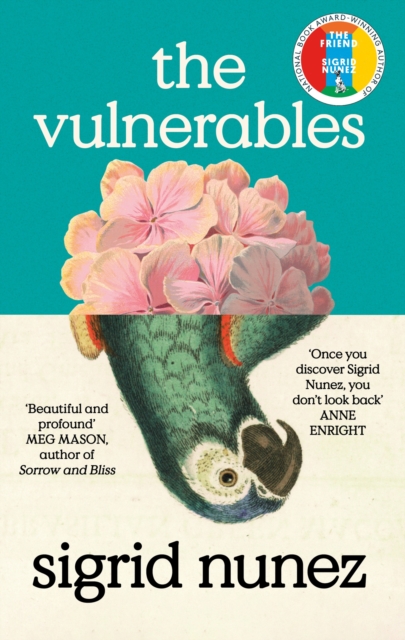 Cover for: The Vulnerables : 'Beautiful and profound' Meg Mason