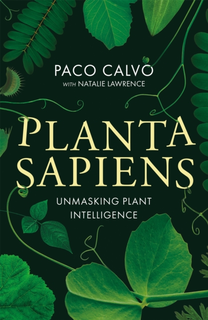 Image for Planta Sapiens : Unmasking Plant Intelligence