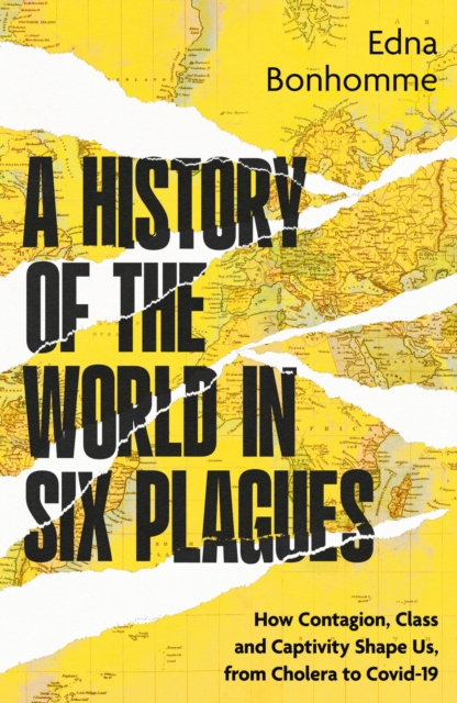 Image for A History of the World in Six Plagues : How Contagion, Class and Captivity Shape Us, from Cholera to Covid-19
