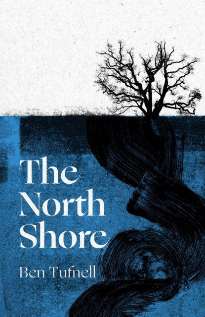 Image for The North Shore : a stunning gothic debut