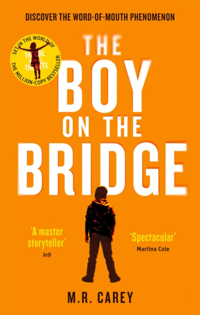 Image for The Boy on the Bridge