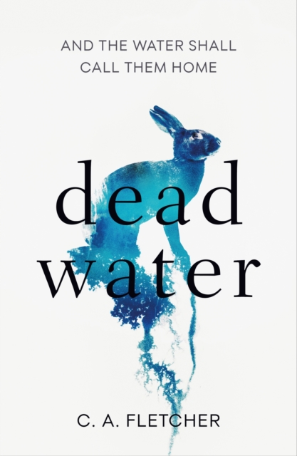 Image for Dead Water : A novel of folk horror