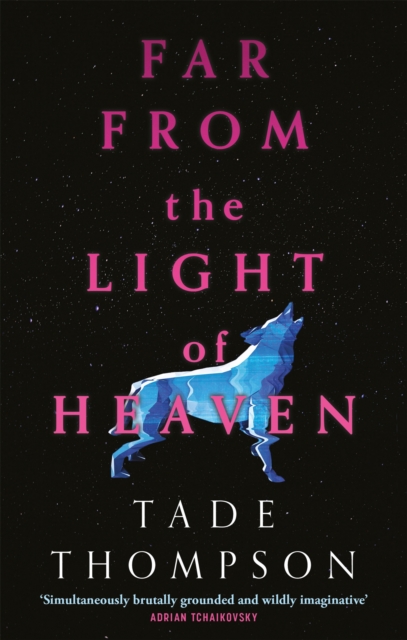 Cover for: Far from the Light of Heaven