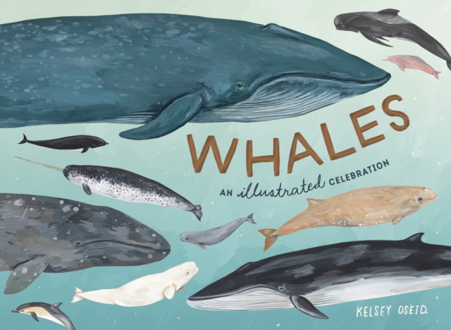 Image for Whales : An Illustrated Celebration