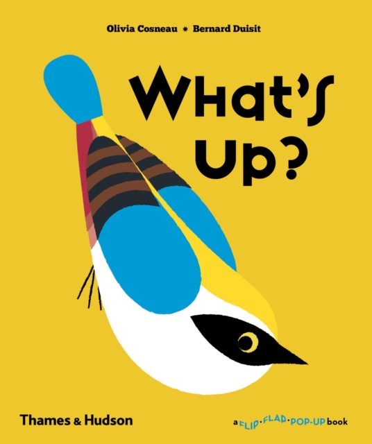 Image for What's Up?
