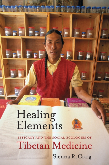 Image for Healing Elements : Efficacy and the Social Ecologies of Tibetan Medicine