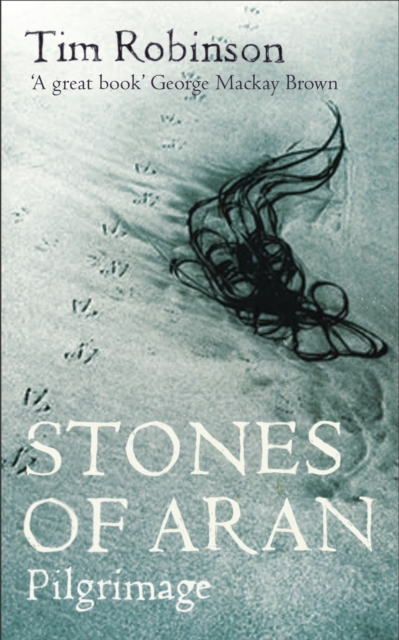 Image for Stones of Aran : Pilgrimage