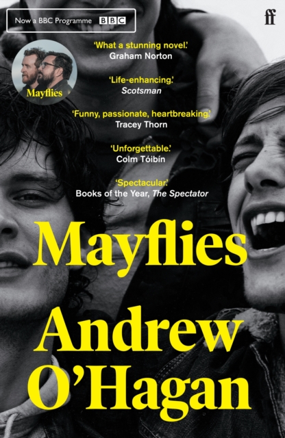 Image for Mayflies