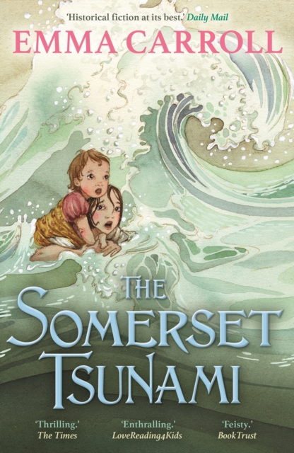 Image for The Somerset Tsunami