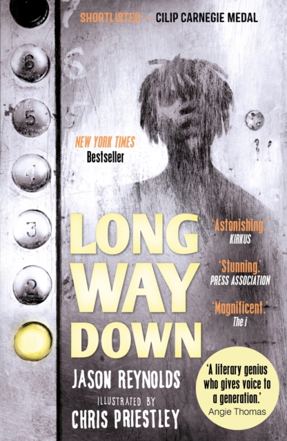 Image for Long Way Down