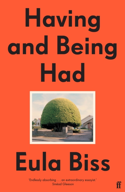 Cover for: Having and Being Had