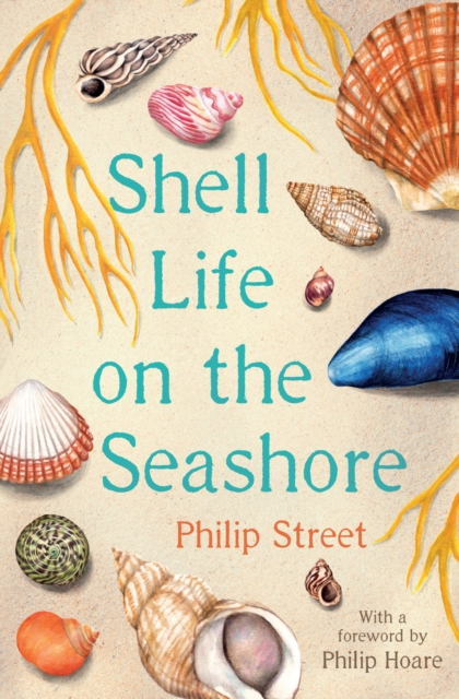 Image for Shell Life on the Seashore