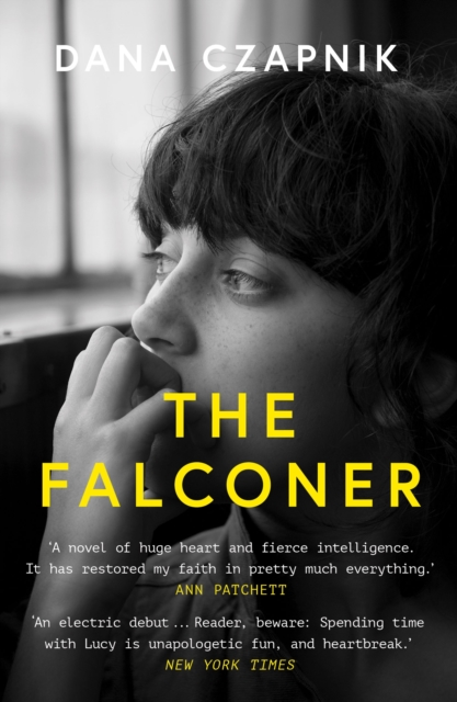 Cover for: The Falconer