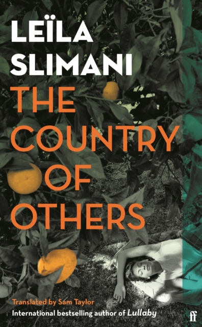 Image for The Country of Others