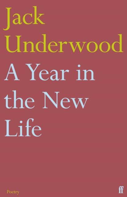 Cover for: A Year in the New Life