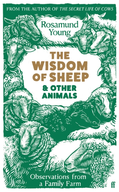 Image for The Wisdom of Sheep & Other Animals : Observations from a Family Farm
