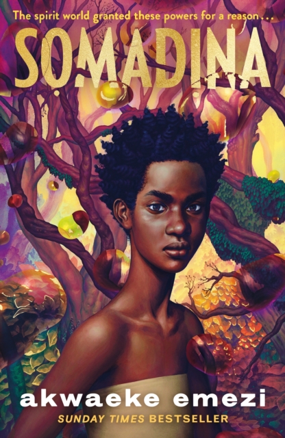 Image for Somadina : An epic YA fantasy from Sunday Times bestselling author Akwaeke Emezi