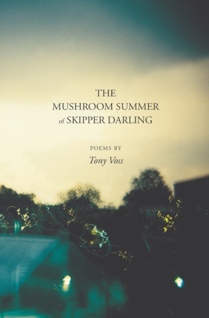 Image for The Mushroom Summer of Skipper Darling