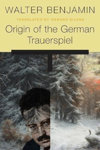 Cover for: Origin of the German Trauerspiel
