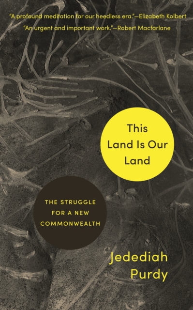 Image for This Land Is Our Land : The Struggle for a New Commonwealth