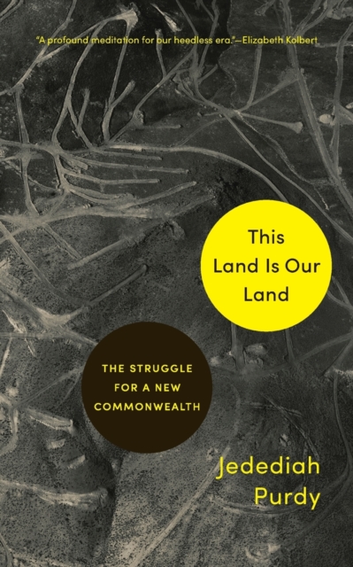 Image for This Land Is Our Land : The Struggle for a New Commonwealth