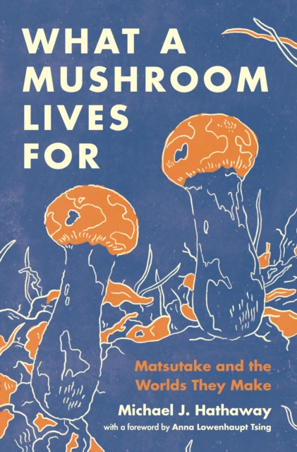 Image for What a Mushroom Lives For : Matsutake and the Worlds They Make