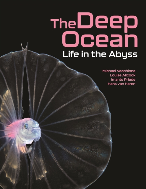 Image for The Deep Ocean : Life in the Abyss