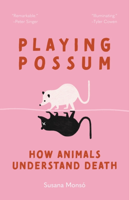 Image for Playing Possum : How Animals Understand Death