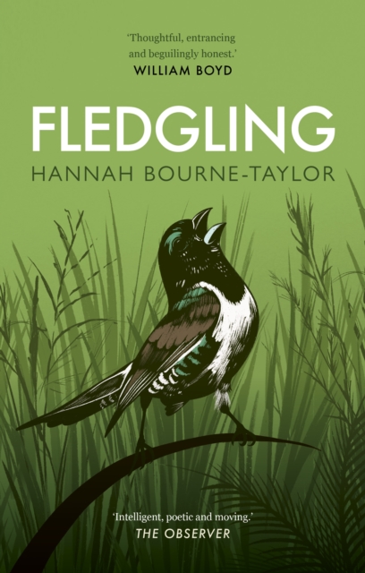 Image for Fledgling